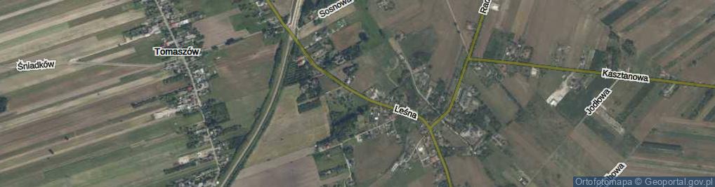 Zdjęcie satelitarne Leśna ul.